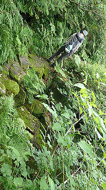 p8230724_thumb.jpg