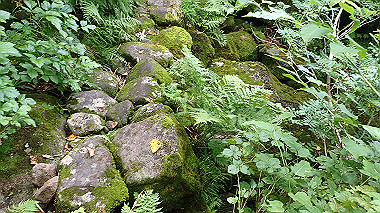 p8230725_thumb.jpg