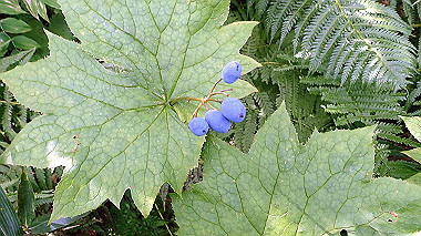 p8230726_thumb.jpg