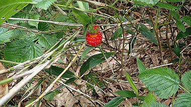 p8230729_thumb.jpg