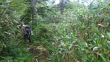 p8230731_thumb.jpg