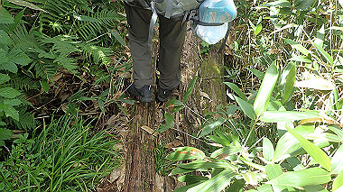 p8230733_thumb.jpg