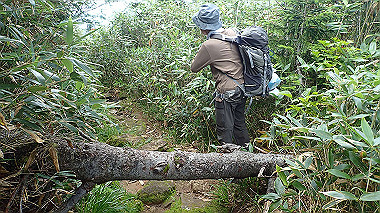 p8230735_thumb.jpg