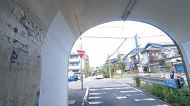 gx012165.mp4_snapshot_00.02_thumb.jpg