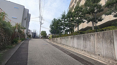 gx012173.mp4_snapshot_00.26_thumb.jpg