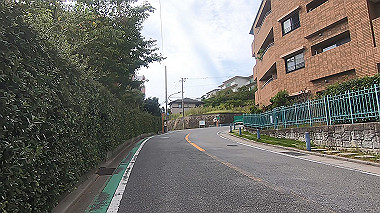 gx012178.mp4_snapshot_00.24_thumb.jpg