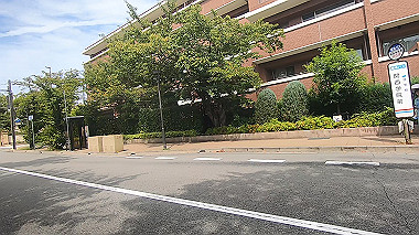 gx012180.mp4_snapshot_00.02_thumb.jpg
