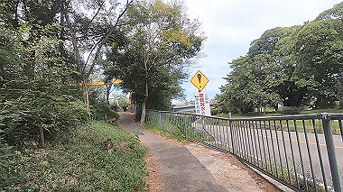 gx012184.mp4_snapshot_00.49_thumb.jpg