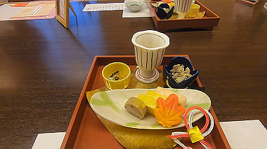gx012210.mp4_snapshot_00.35_thumb.jpg