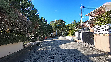 gx012216.mp4_snapshot_00.21_thumb.jpg