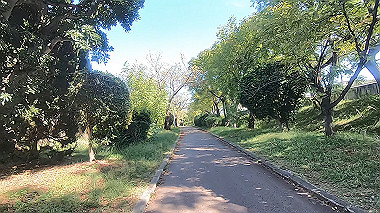 gx012217.mp4_snapshot_00.22_thumb.jpg