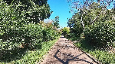 gx012218.mp4_snapshot_00.24_thumb.jpg