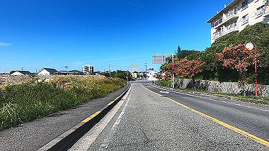 gx012219.mp4_snapshot_00.01_thumb.jpg