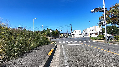 gx012219.mp4_snapshot_00.09_thumb.jpg