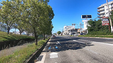 gx012221.mp4_snapshot_04.47_thumb.jpg