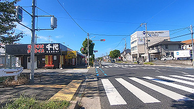 gx012221.mp4_snapshot_04.58_thumb.jpg
