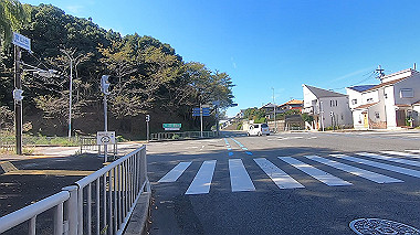 gx012221.mp4_snapshot_07.21_thumb.jpg
