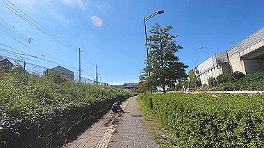 gx012227.mp4_snapshot_01.04_thumb.jpg