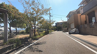 gx012229.mp4_snapshot_01.28_thumb.jpg