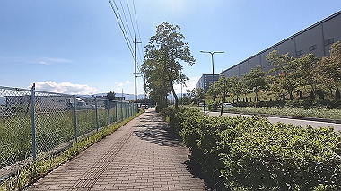 gx012230.mp4_snapshot_00.15_thumb.jpg