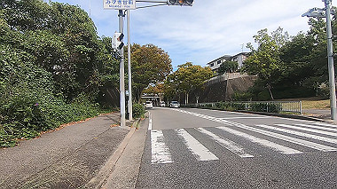 gx012238.mp4_snapshot_00.18_thumb.jpg