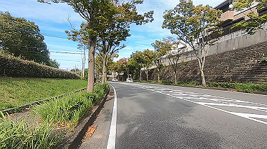 gx012238.mp4_snapshot_01.22_thumb.jpg
