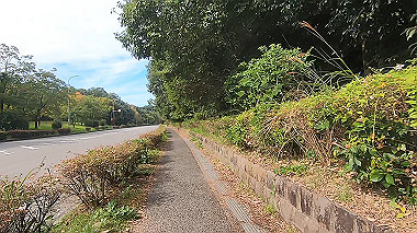 gx012238.mp4_snapshot_05.15_thumb.jpg