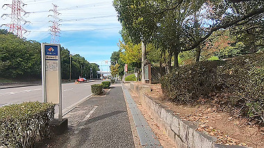 gx012238.mp4_snapshot_06.38_thumb.jpg