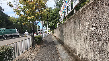 gx012238.mp4_snapshot_06.46_thumb.jpg