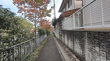 gx012239.mp4_snapshot_00.21_thumb.jpg