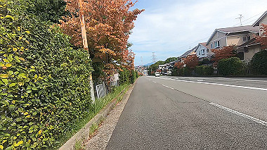 gx012239.mp4_snapshot_00.45_thumb.jpg