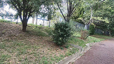 gx012242.mp4_snapshot_00.23_thumb.jpg