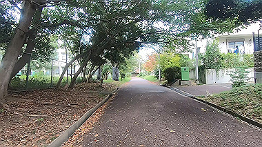 gx012242.mp4_snapshot_00.39_thumb.jpg