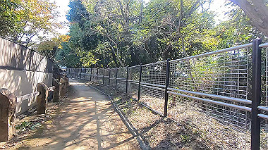 gx012245.mp4_snapshot_00.47_thumb.jpg