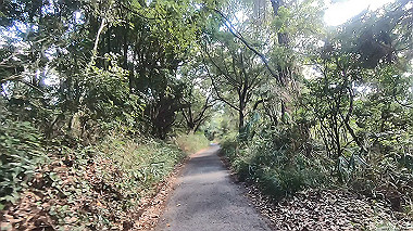 gx012253.mp4_snapshot_00.03_thumb.jpg
