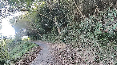 gx012254.mp4_snapshot_02.14_thumb.jpg