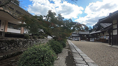 gx012261.mp4_snapshot_00.18_thumb.jpg