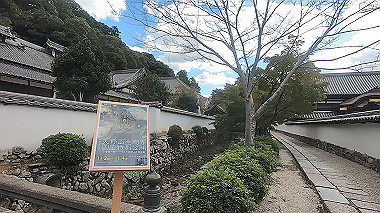 gx012261.mp4_snapshot_00.49_thumb.jpg