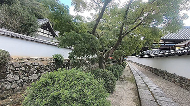 gx012261.mp4_snapshot_00.59_thumb.jpg