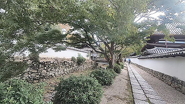 gx012261.mp4_snapshot_01.06_thumb.jpg