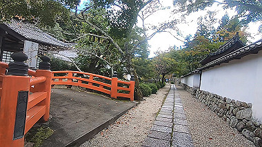 gx012262.mp4_snapshot_00.07_thumb.jpg