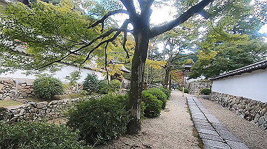 gx012262.mp4_snapshot_00.28_thumb.jpg