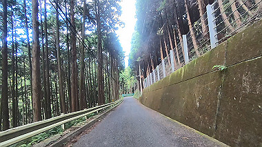 gx012278.mp4_snapshot_00.46_thumb.jpg