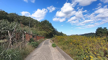 gx012285.mp4_snapshot_00.35_thumb.jpg
