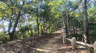 gx012287.mp4_snapshot_00.02_thumb.jpg
