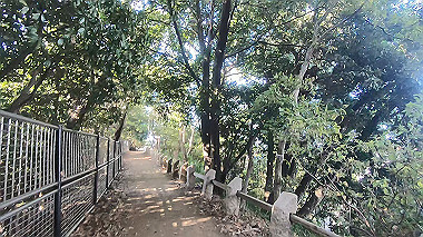 gx012287.mp4_snapshot_00.48_thumb.jpg