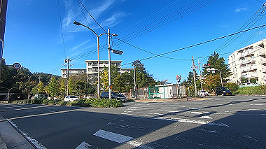 gx012287.mp4_snapshot_02.59_thumb.jpg