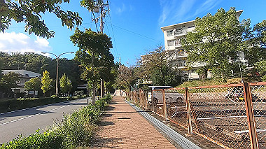 gx012287.mp4_snapshot_03.19_thumb.jpg