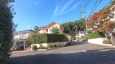 gx012288.mp4_snapshot_00.53_thumb.jpg