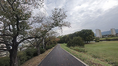gx012294.mp4_snapshot_00.55_thumb.jpg